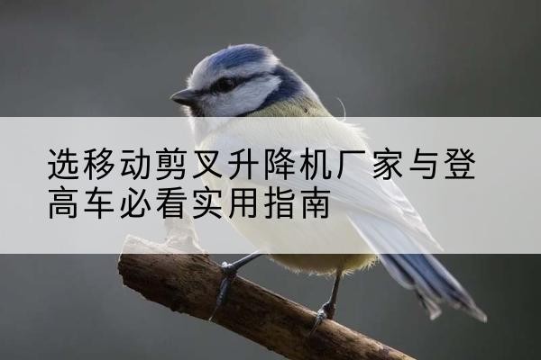 迪庆电动升降机厂家-选移动剪叉升降机厂家与登高车必看实用指南