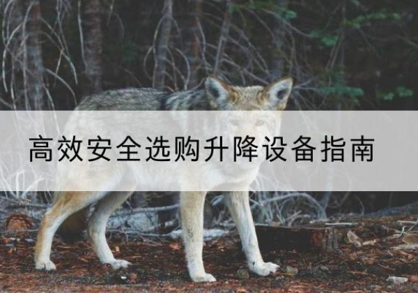 迪庆升降货梯厂家推荐-*安全选购升降设备指南